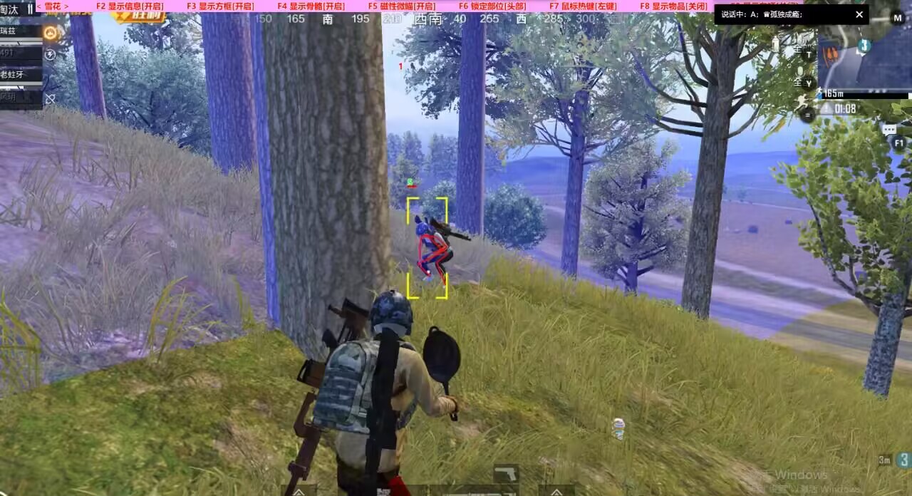 和平精英辅助【内部G简洁版】